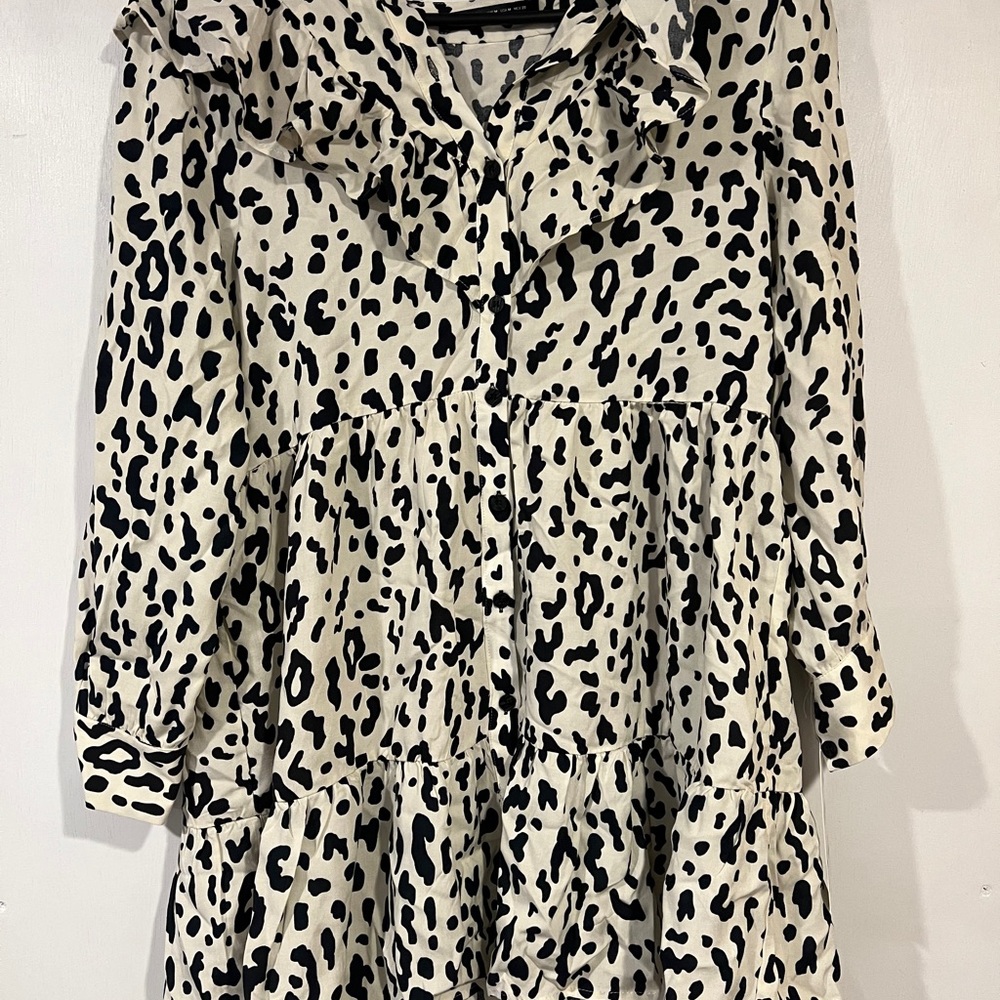 Zara Dress